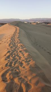 GC-Dunas de Maspalomas sunset 2026-144.jpg